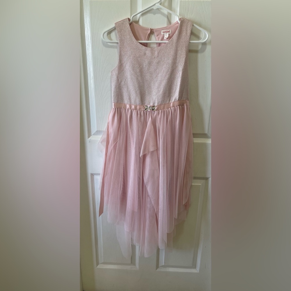 Cat & Jack Pink Tulle Dress